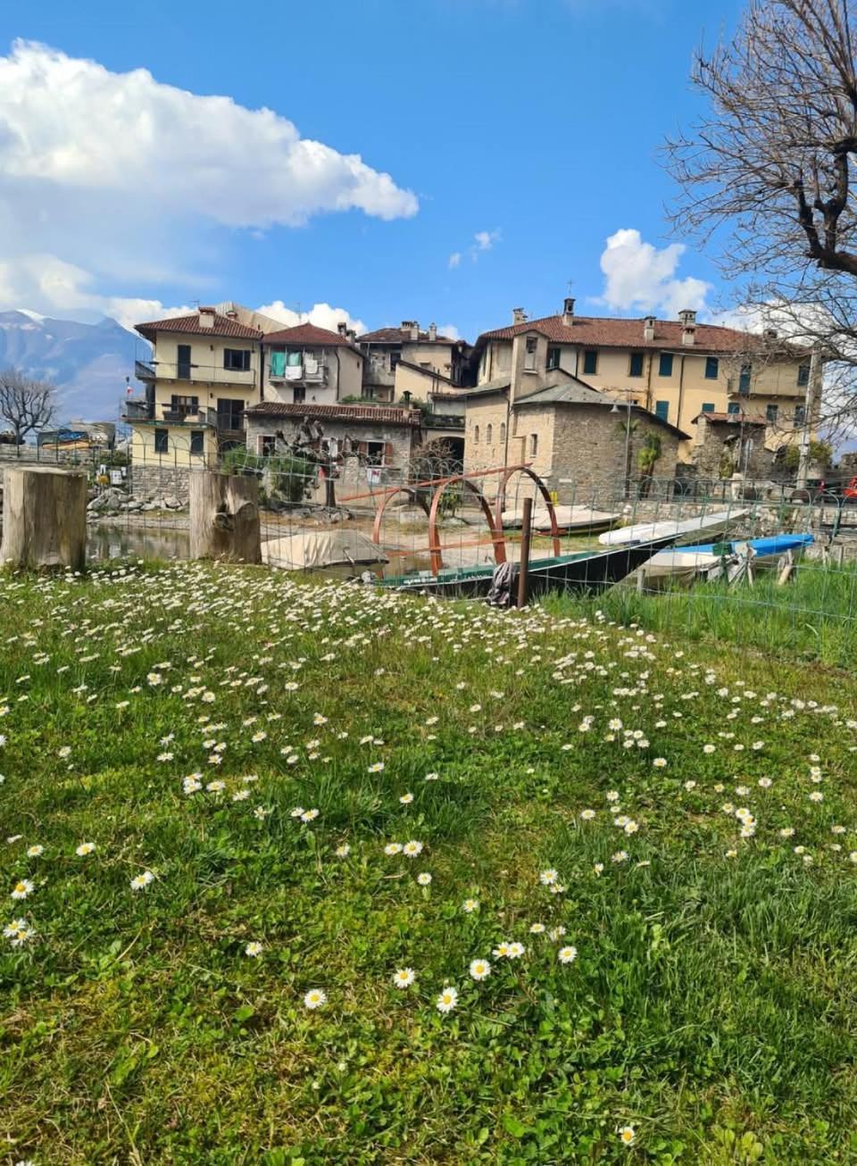 Apartment L'Ulivo Lake View In Private Street Lierna Exterior foto